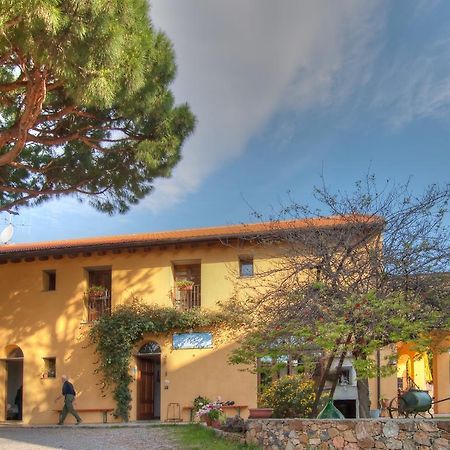 Agriturismo Ca' Di Trincia Pietra Ligure Exteriér fotografie